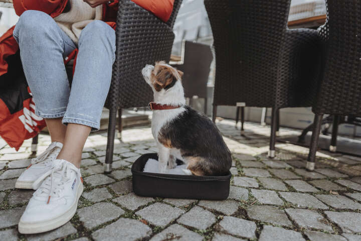 HUNTER Flugtasche und Rucksack Miles